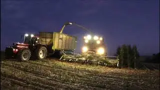 letzter Mais 2019 Case IH 1455xl