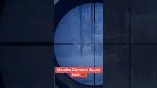 Epic Brown Bear Hunting Gameplay Highlights! #COTW #gameplay #the hunter call of the wild