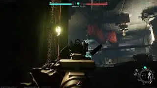 Active Matter - Nexus PvP