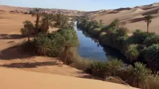 Sahara   oasis 1