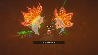 i didn't know Volcarona can do this... OH SH--