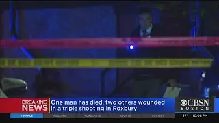1 Man Dead, 2 Others Wounded In Roxbury Shooting
