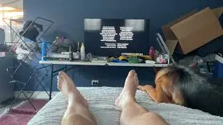 Closing to Maid in Manhattan 2003 VHS