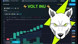 ⚡️CryptoSurfr⚡️ LIVE VOLT INU 15 Minute DEX TOOLS Crypto Chart #VOLTINU #VOLT #crypto #cryptolive⚡️