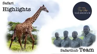 Safarihub Team | Safari Highlights of Tanzania, Madagascar, Zanzibar and Kenya