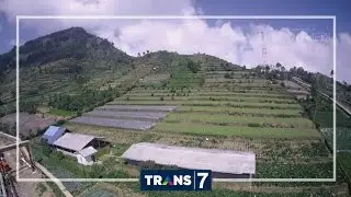 MERAJUT ASA - SI CANTIK CALLA LILY DARI DIENG (2/9/16) 3-1