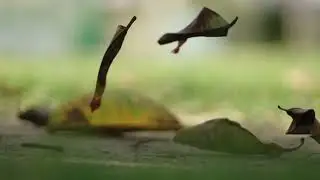 Natural beauty of karachi