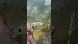 A melhor isca para tucunar&eacute; do aliexpress