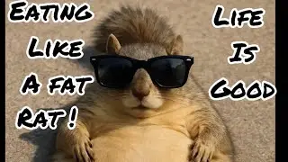 HOT SHOT WITH  SQUIRREL PROBLEMS