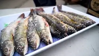 Fischerei Trawöger-Dorfner Imagefilm