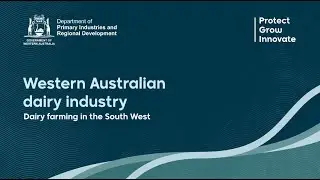 Western Australian dairy industry - Dairy farming in the South West