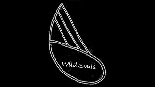 Wild Souls