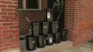 Wild Side brewing offers free pizza for water waste clean up