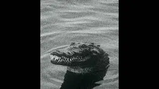 Trap Type Beat - 