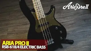 Slapping the Aria Pro RSB-618 Bass! #AriaPro #AriaisBack #AriaBass
