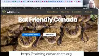 Biologically sound training for the control of bats occupying structures