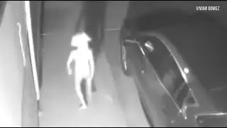 Real Aliens Caught on Camera