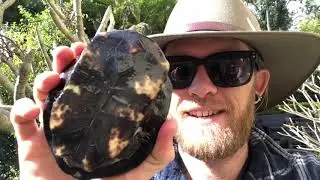 Installing a Pond One Claritec 3000UV