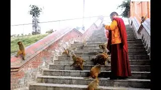 Dr. Kumar Gurung (Ph.D) II Buddha Bhajan Nepali II Au Au Buddha ko sarana ma au