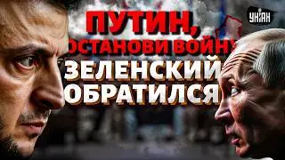 Надо ЗАКОНЧИТЬ ВОЙНУ: Зеленский передал Путину послание. Раскрыты СЕКРЕТНЫЕ АРХИВЫ