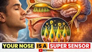 How Smell REALLY Works? The Shocking Science Inside Your Nose