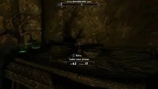 SkyrimSE: МОЖНО УКРАСТЬ ВАШЕ СЕРДЕЧКО?