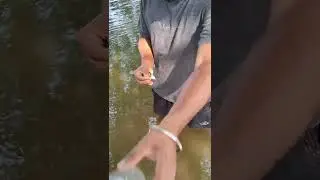 Blasting Diwali sutli bomb Under water... 😯😲 Do not try this 🚫