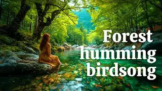 [Sleep induction] Forest murmur, woman's humming, birdsong