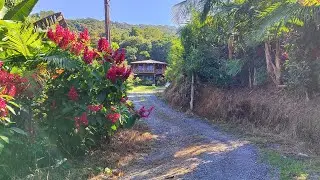 VENDO • Sitio em São José SC - 11 hectares
