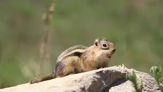 BBCEarthPresenterSearch
