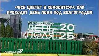 «Все цветет и колосится»: как проходит День поля под Волгоградом