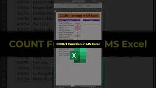 How to Use COUNT Function in Excel | Count Numbers Quickly