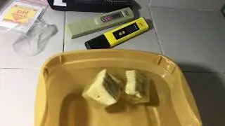 Hydroponics Rockwool Cubes Quick Absorption Test