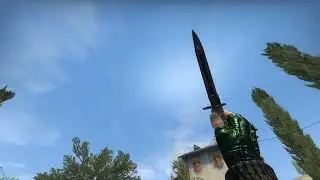 CS:GO BAYONET STAINED WELL-WORN | SKIN SHOWCASE