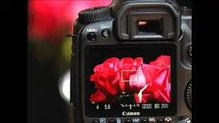 Introduction to the Canon 40D - 8