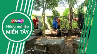 H&agrave;nh tr&igrave;nh sếu trở về - Từ v&ugrave;ng l&otilde;i đến v&ugrave;ng đệm | N&ocirc;ng nghiệp Miền T&acirc;y