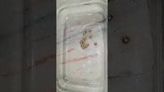 Gold slime making piping bags part 1😇😀#shorts