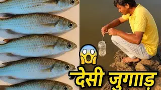 😱 देसी जुगाड से जबरदस्त Fish Catch | Bottle Trap Real Village Fishing | #fish