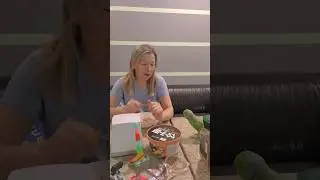 И это всё о нём 😉🦜👍
