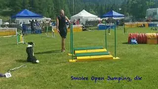 Zeljko Gora competing with Hash and Smoke @Alpine Agility Open 2022