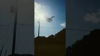 DJI phantom 4 vs DJI mini 3 startup  #djidrones #djidrone #dji #djiphantom4 #djimini3