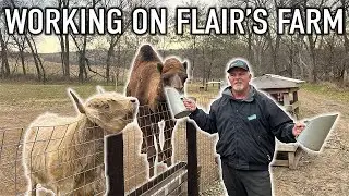 Working on FLAIR&rsquo;S FARM For 24 HOURS! (Bad Idea)