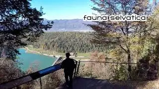Predaia   percorsi turistico escursionistici