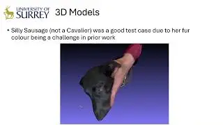 Headmodel