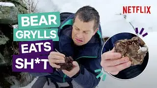 Bear Grylls Eats Bear Poo In You Vs. Wild