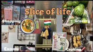 Slice of life in  hungary 🇭🇺/ التسوق🛒/ شوبينغ 🛍️/ طبخ 🧑‍🍳/ امتحانات📖