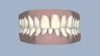 Ringwood Dental - Testimonials - 17