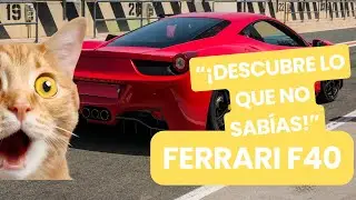 La Historia del Ferrari F40