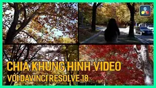 Chia khung h&igrave;nh trong Davinci Resolve 18 | T&uacute; Thanh Blog