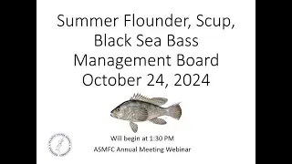 Summer Flounder, Scup and Black Sea Bass Board Proceedings October 2024